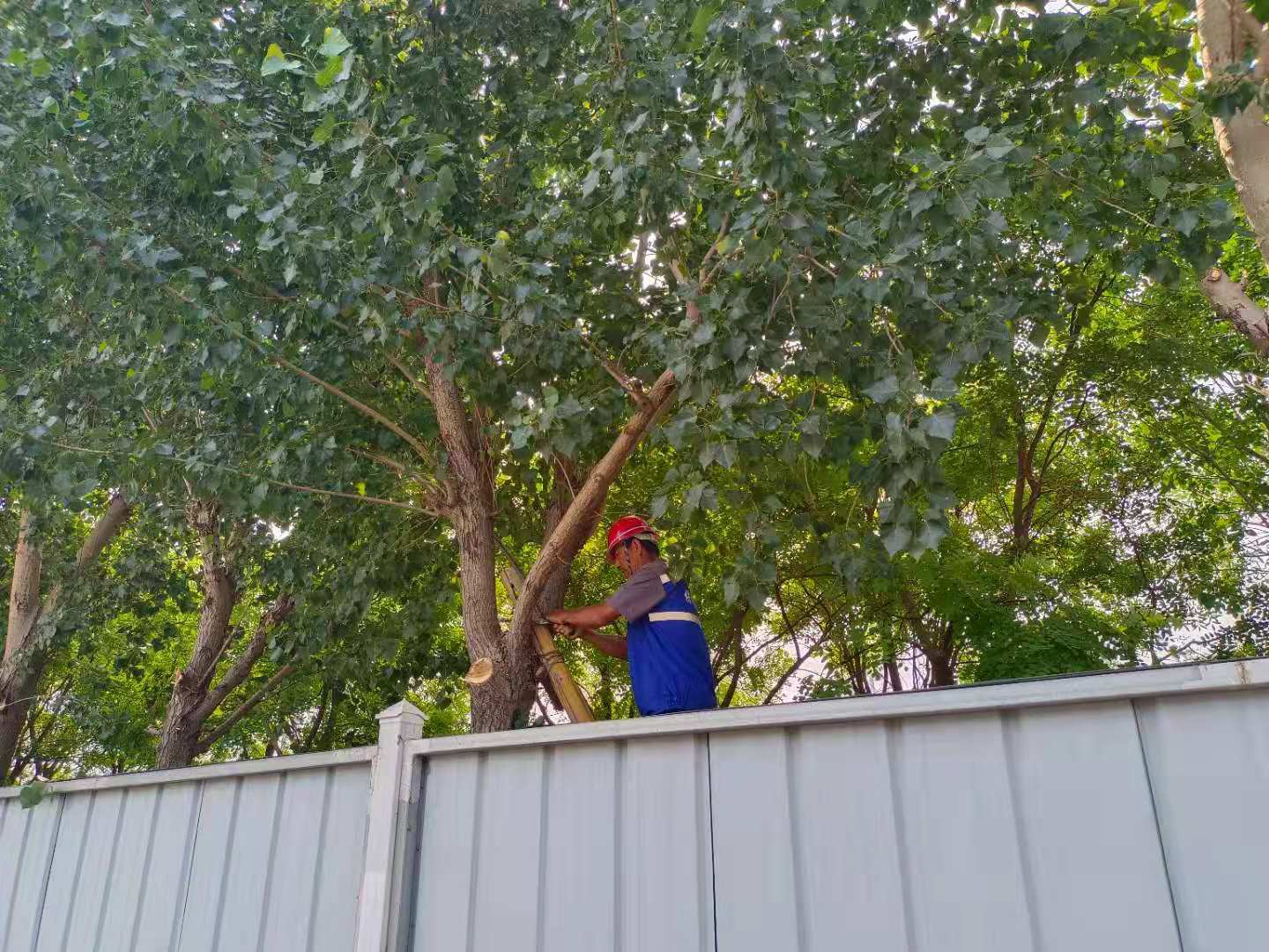 微信图片_202108051127281.jpg