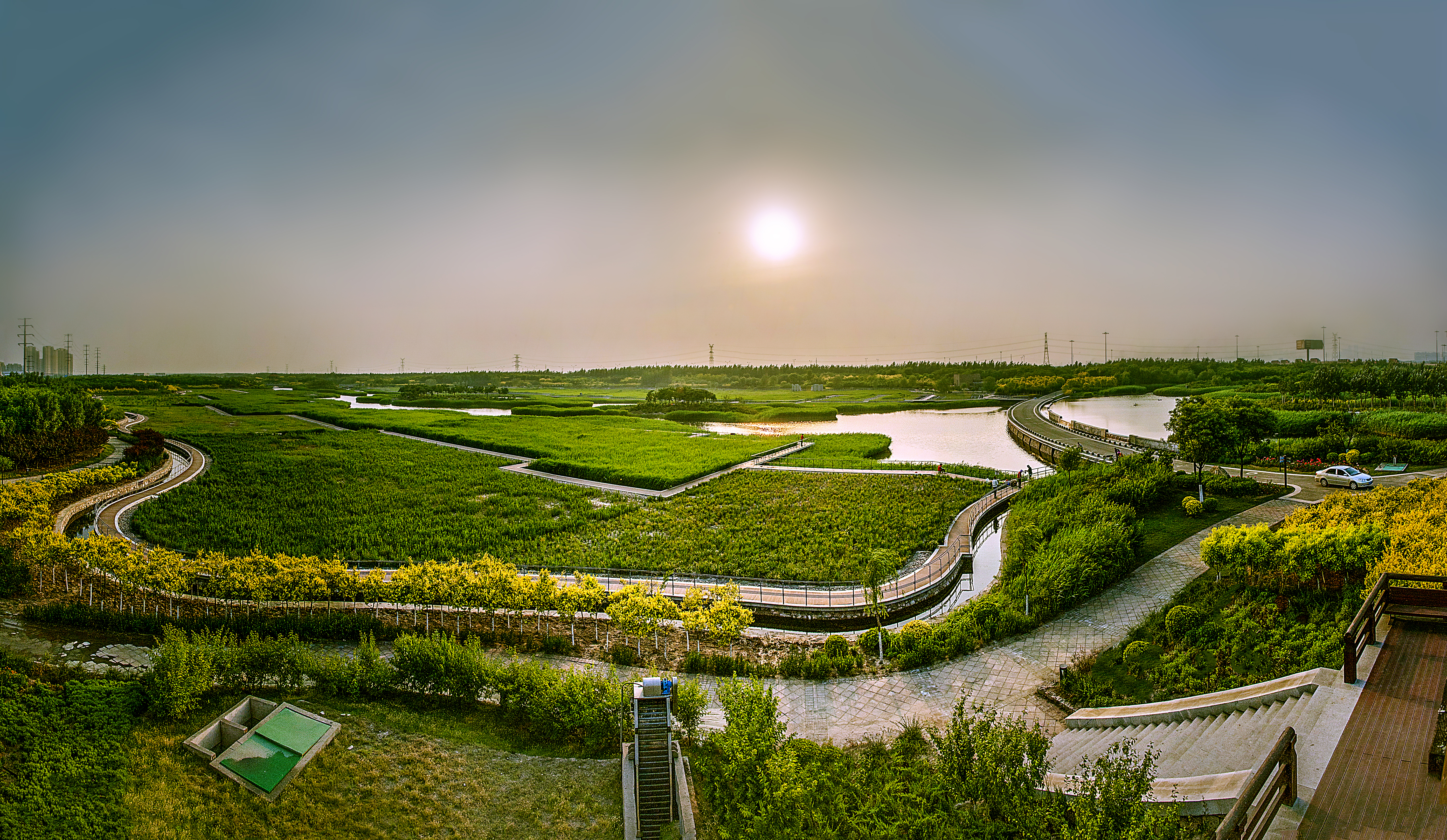 临港生态湿地公园 (10).jpg