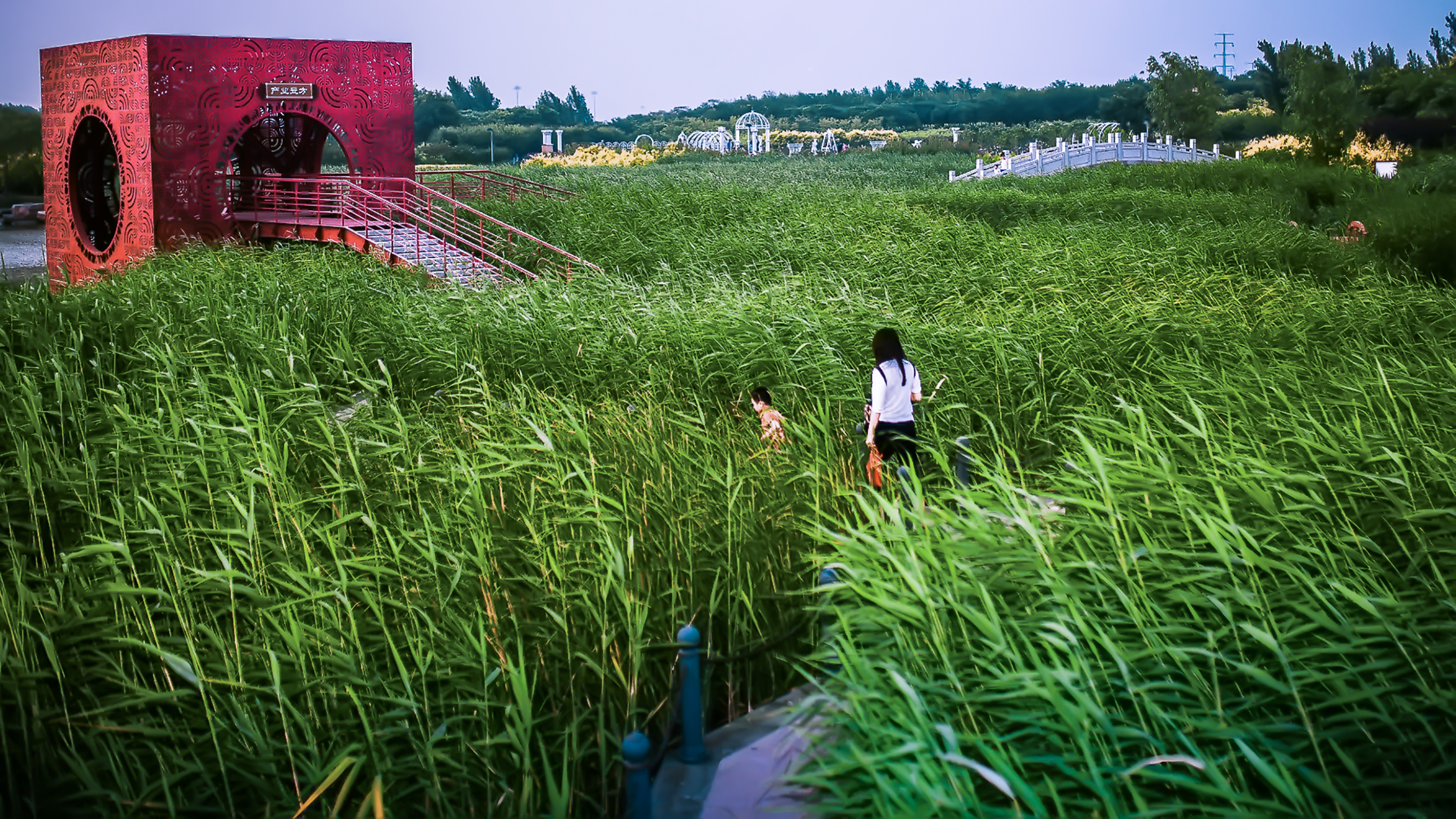 临港生态湿地公园 (9).jpg